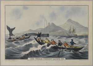 La Pesca della Balena 
