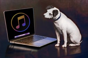 Il laptop del padrone, 2023
