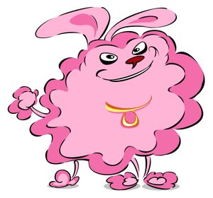 Barboncino Pompom - caricatura