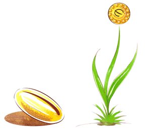 Seme e germoglio - illustrazione di allegoria finanziaria da Neale Osborne