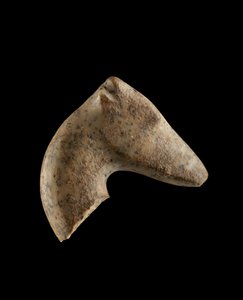 Testa di una gazzella persiana femmina, 6000-5500 a.C.