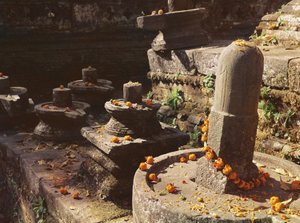 Shiva lingam al Tempio di Pashupatinah da Nepalese School