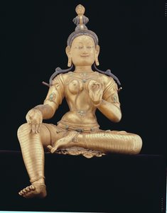 Tara da Nepalese School