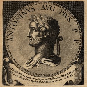 Ritratto dell