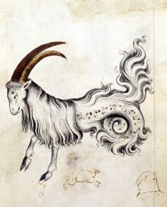 Il segno zodiacale del Capricorno da Netherlandish School