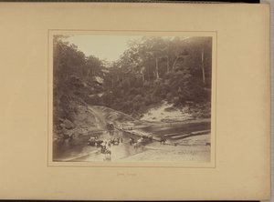 Nepean superiore da New South Wales Government Printing Office