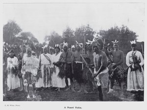 New Plymouth, Nuova Zelanda: Un Haka Maori da New Zealand Photographer