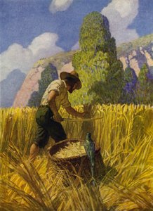 Illustrazione per Robinson Crusoe da Newell Convers (after) Wyeth