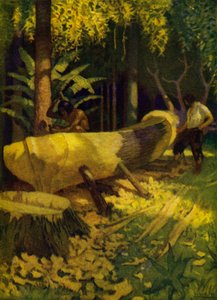 Illustrazione per Robinson Crusoe da Newell Convers (after) Wyeth