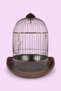 Gabbia Mentale, 2020