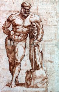 Ercole