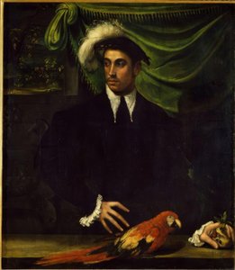 Ritratto di un giovane uomo con pappagallo da Niccolò dell Abbate