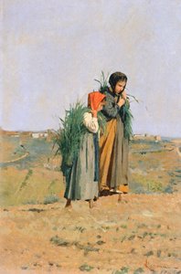 Erbaiole da Niccolo Cannicci