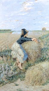 Erba di grano a Tombolo da Niccolo Cannicci