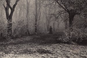 Nella Foresta di Vienna da Nichol Elliot