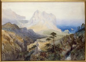 Una gola vicino al mare, Alpi meridionali, Nuova Zelanda