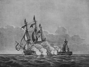 La Costituzione e la Java da Nicholas Pocock