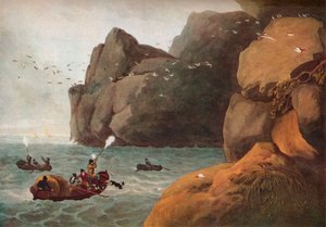 Caccia ai pulcinella di mare, c1806 da Nichols and Merke