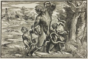 Laocoonte da Nicolò Boldrini