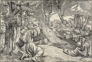 San Francesco riceve le stimmate da Nicolò Boldrini
