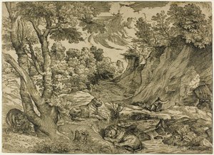 San Girolamo nel deserto da Nicolò Boldrini