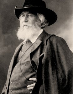 Ritratto di Ernst Haeckel, c.1910 da Nicola Perscheid