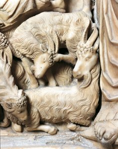 Italia, Toscana, Cattedrale di Siena, pulpito con la Natività di Nicola Pisano da Nicola Pisano