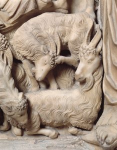 La natività di Cristo (dettaglio) dal pulpito in marmo da Nicola Pisano