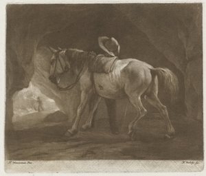 Cavallo che urina