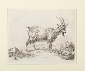 6 incisioni da da Nicolaes Berchem