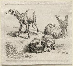 Animalia: Tre Cani da Caccia da Nicolaes Berchem