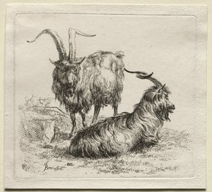Animalia: Due capre da Nicolaes Berchem