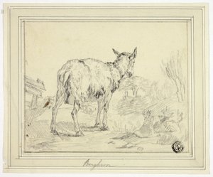 Capra da Nicolaes Berchem