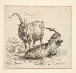 Capre (da da Nicolaes Berchem