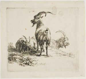 Capre, da Vari Animali da Nicolaes Berchem