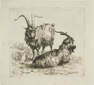 Due capre con grandi corna, da Vari animali da Nicolaes Berchem