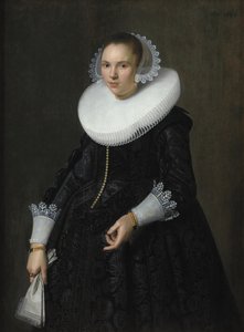 Ritratto di una signora da Nicolaes Eliasz. Pickenoy