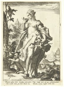 Il senso del gusto