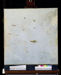 Soffitto di casa delle bambole dipinto con cielo nuvoloso e uccelli da Nicolaes Piemont (attributed to)