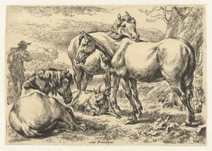 Tre cavalli (titolo della serie: Dieren) da Nicolaes Pietersz Berchem