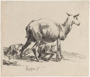 Pecora che allatta il suo agnello da Nicolaes Pietersz Berchem