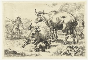 Mucca sdraiata e una mucca che urina da Nicolaes Pietersz Berchem