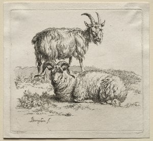Ariete e capra da Nicolaes Pietersz. Berchem