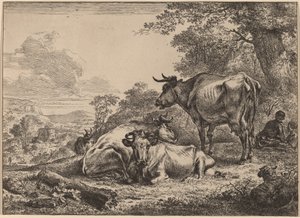 Mucche a riposo da Nicolaes Pietersz Berchem