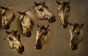 Schizzi di Teste di Cavalli