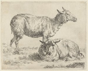 Pecora in piedi e sdraiata da Nicolaes Pietersz Berchem