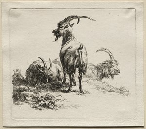 Tre Capre da Nicolaes Pietersz. Berchem