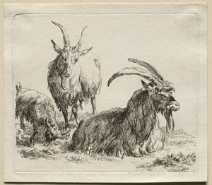Tre capre da Nicolaes Pietersz. Berchem