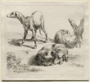 Tre cani da caccia da Nicolaes Pietersz. Berchem