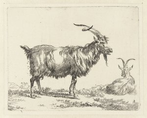 Due capre da Nicolaes Pietersz Berchem